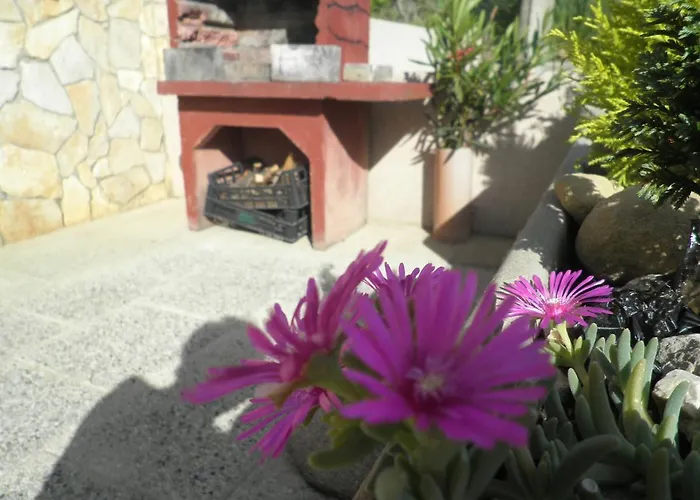 Vesna Apartament *