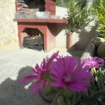Vesna Apartament *