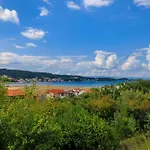 Vesna